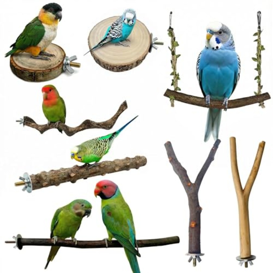 Health & Wellness Expo - 8PCS tempat bertengger burung dari kayu
