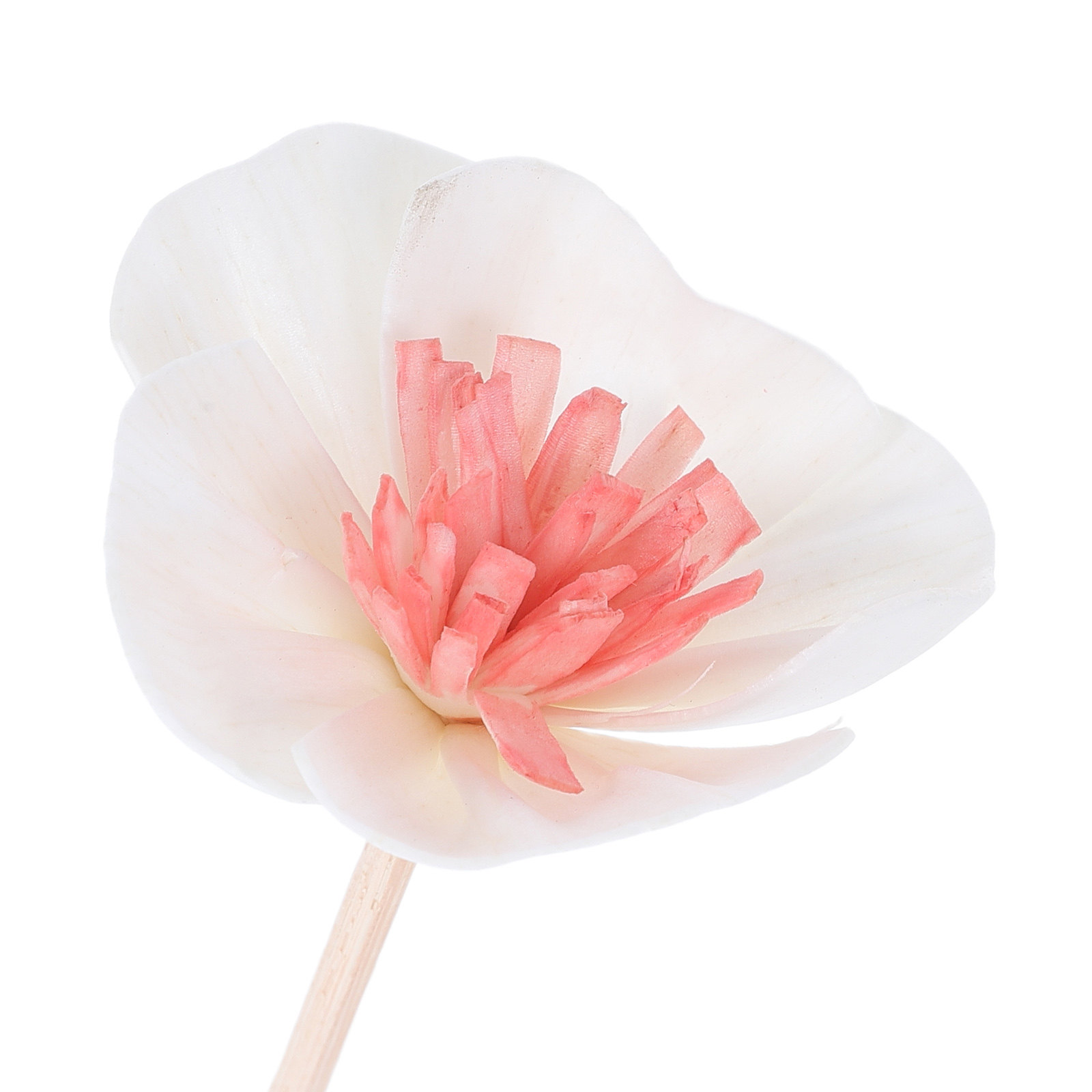 10 Buah Stik Diffuser Minyak E - Aromatherapy Diffuser ulasan dan harga