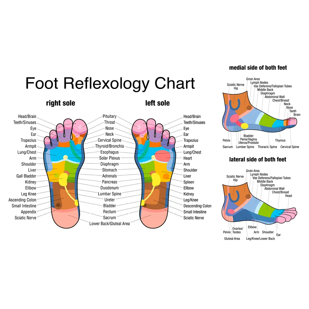 Rol pijat kaki kayu mengurangi - Reflexology Foot Roller ulasan dan harga